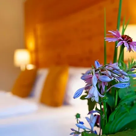 Apart-elisabeth Hotel 4*